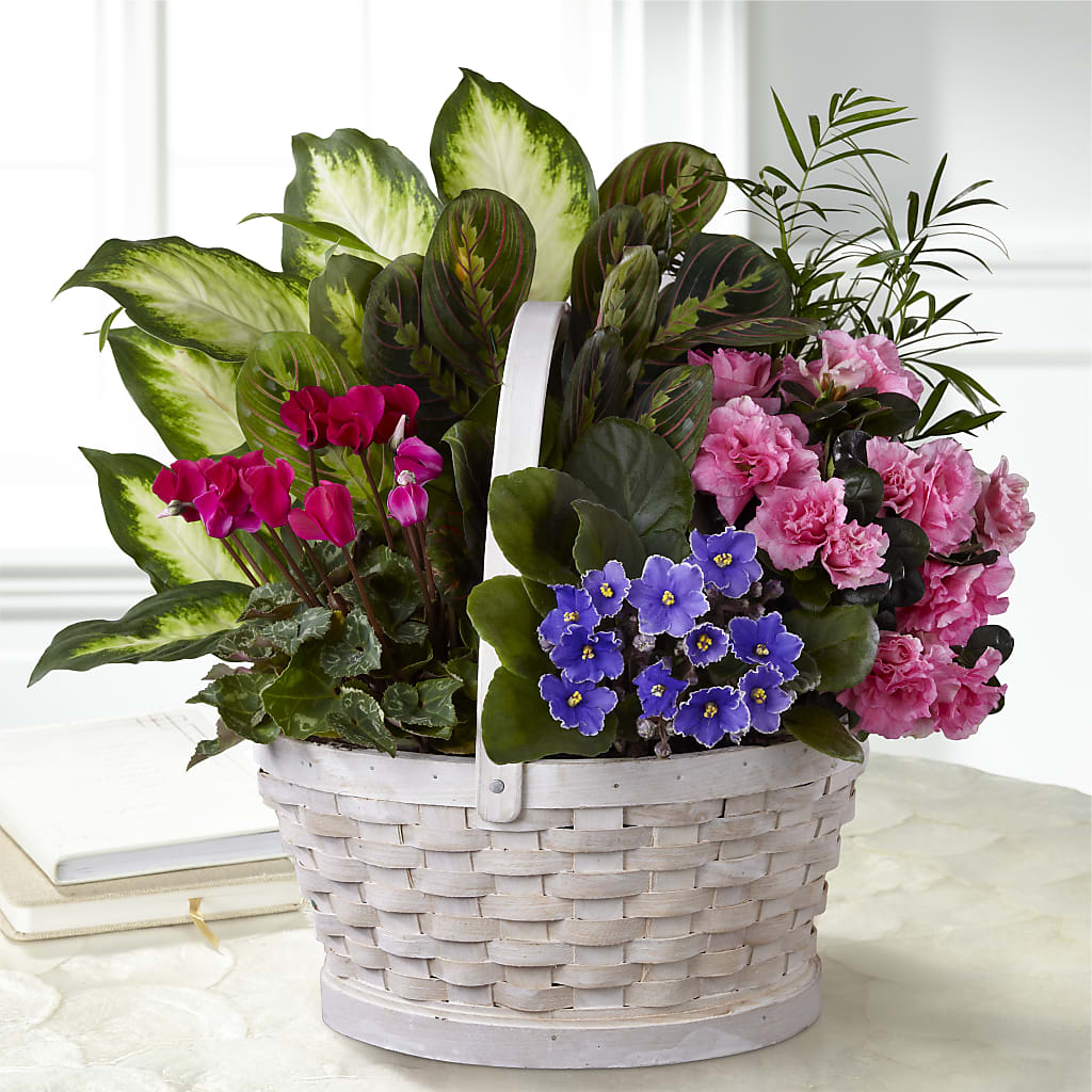 Peaceful Garden Planter – The Flower Basket, Hickory NC