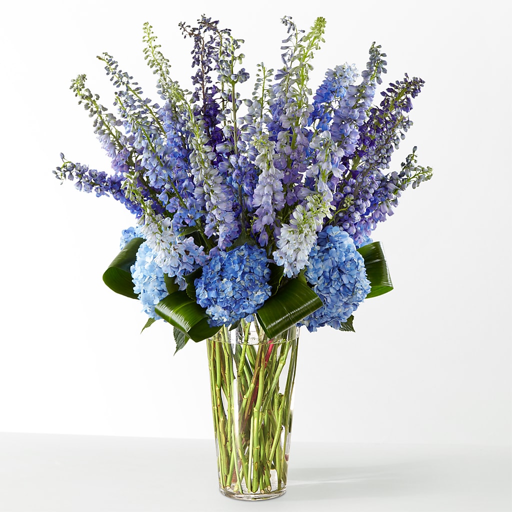 The Editorial – The Flower Basket, Hickory NC