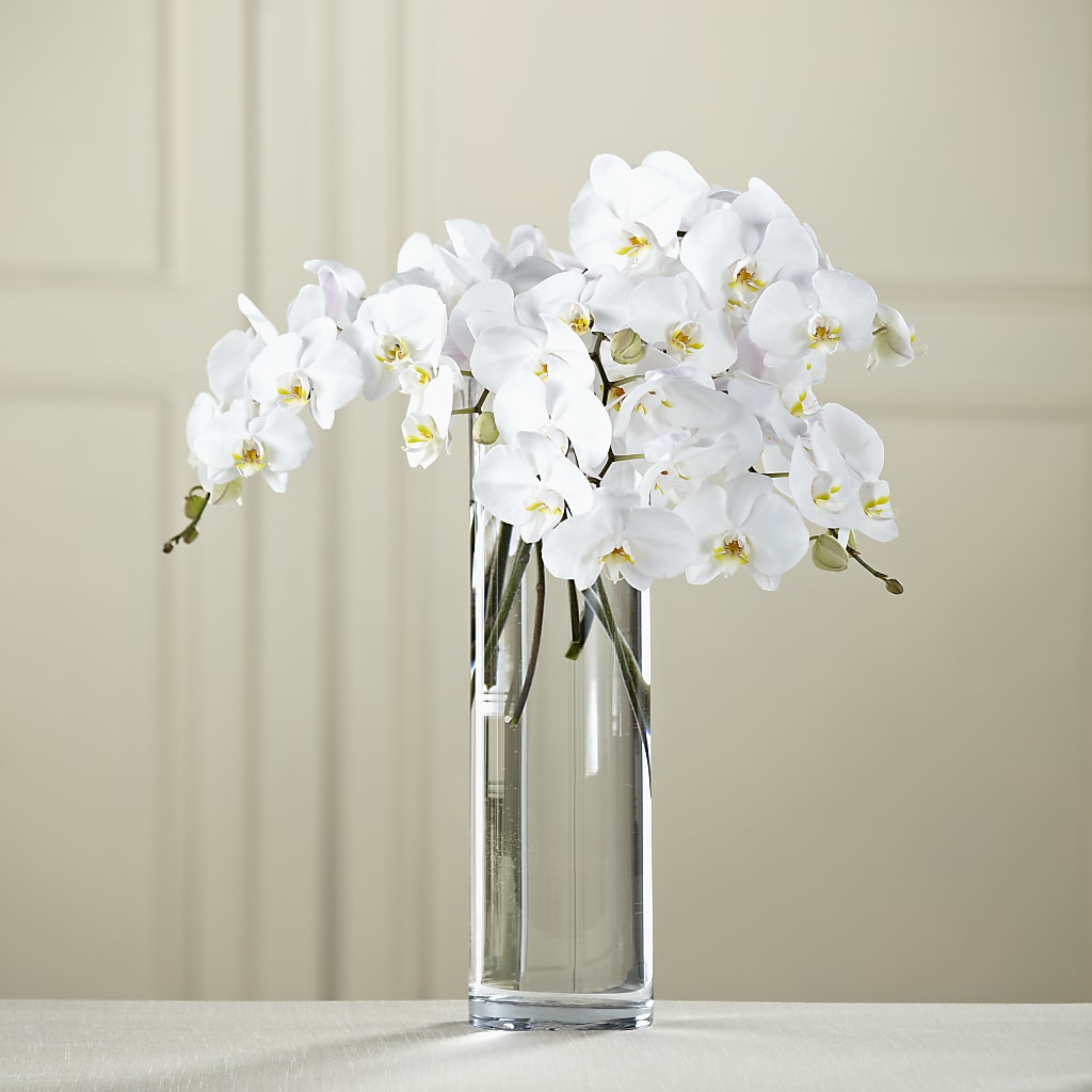 White Phalaenopsis Bouquet – The Flower Basket, Hickory NC
