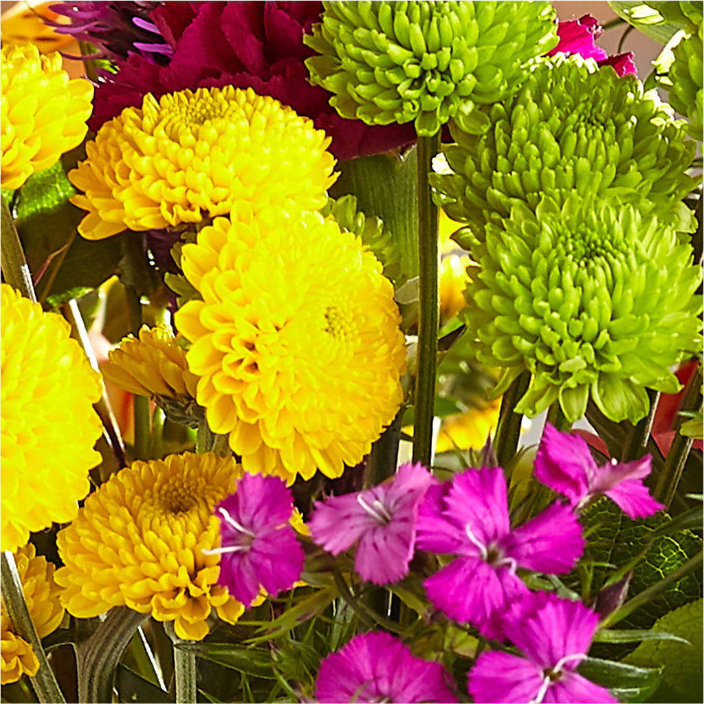 Bold & Bright – A Florist Original –  The Flower Basket, Hickory NC