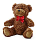 Adorable Plush Bear –  The Flower Basket, Hickory NC