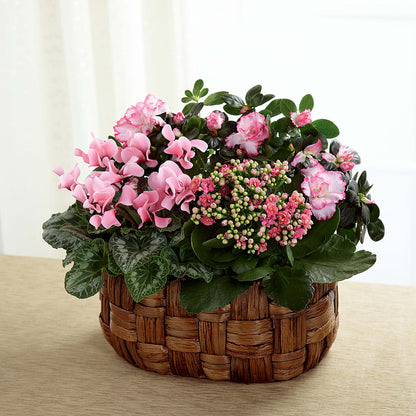 Pink Assortment –  The Flower Basket, Hickory NC