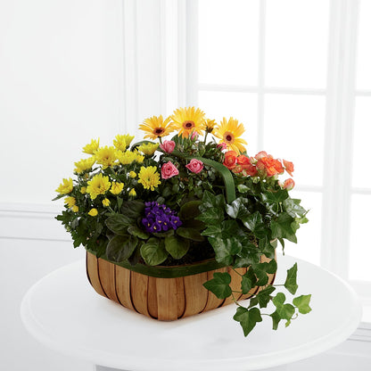 Gentle Blossoms Basket –  The Flower Basket, Hickory NC