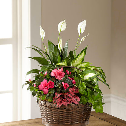 Dream in Pink Dishgarden –  The Flower Basket, Hickory NC
