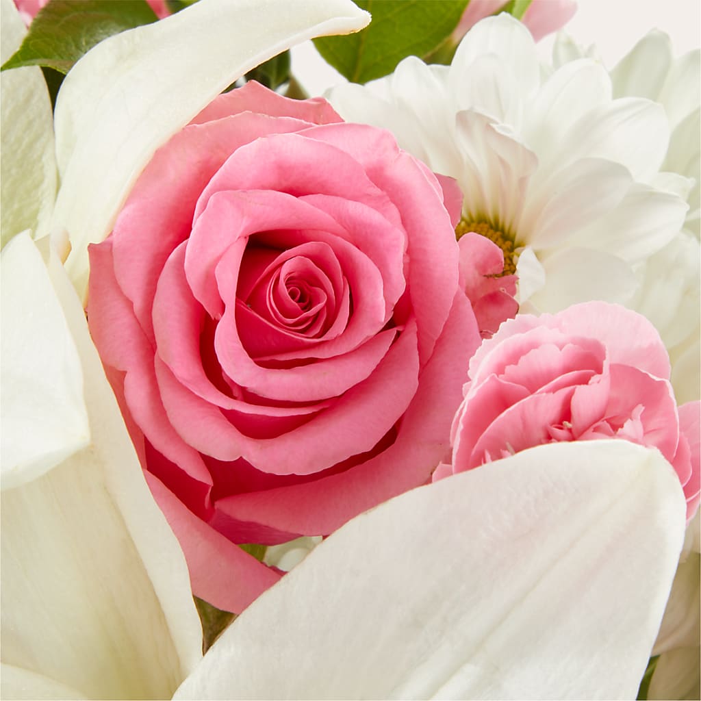 Whispers of Comfort Bouquet –  The Flower Basket, Hickory NC