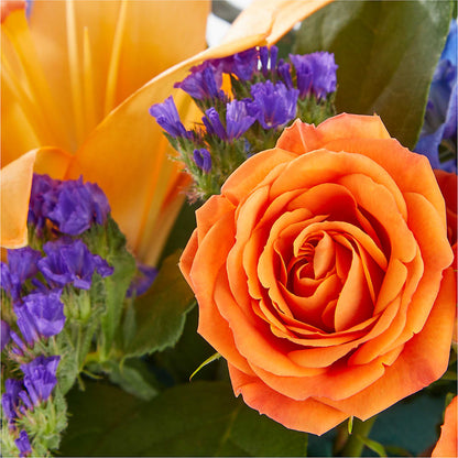 Radiant Citrus Box Bouquet –  The Flower Basket, Hickory NC