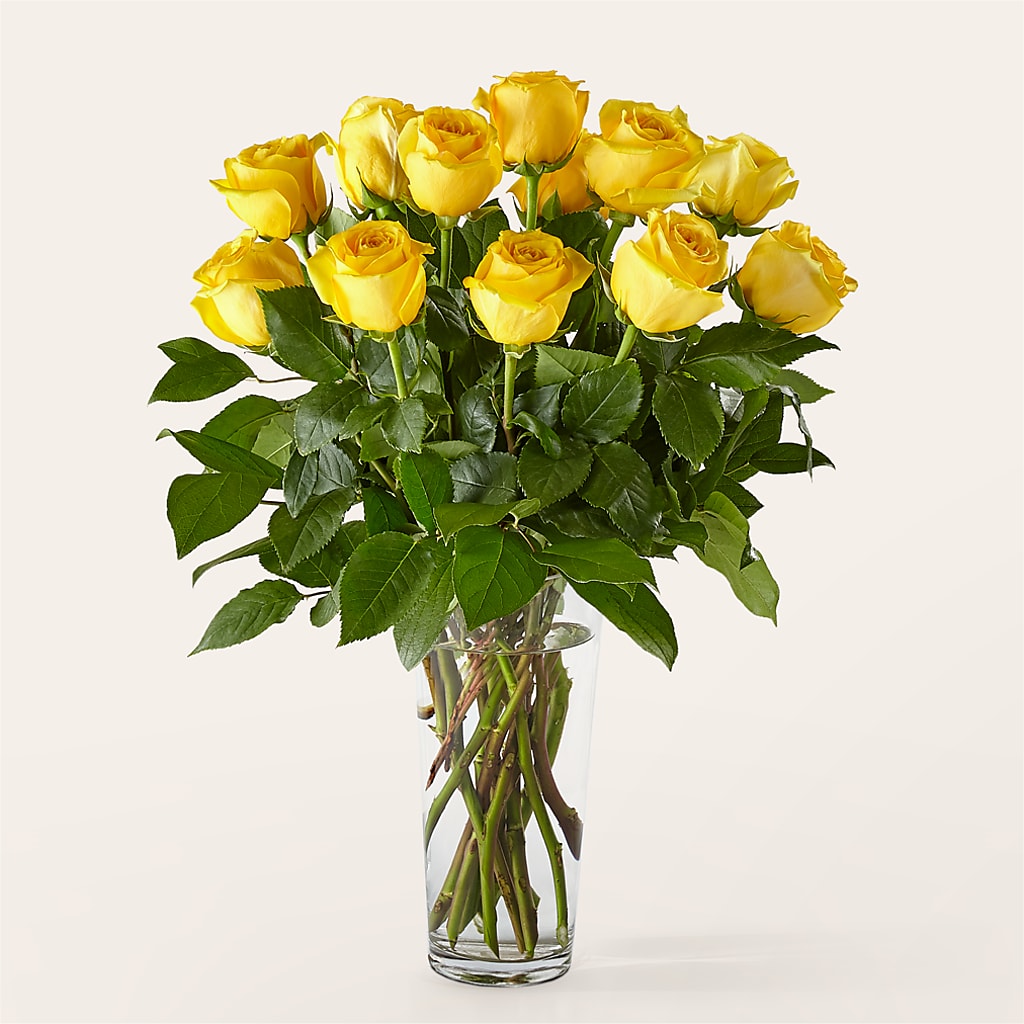 Long Stem Yellow Rose Bouquet –  The Flower Basket, Hickory NC