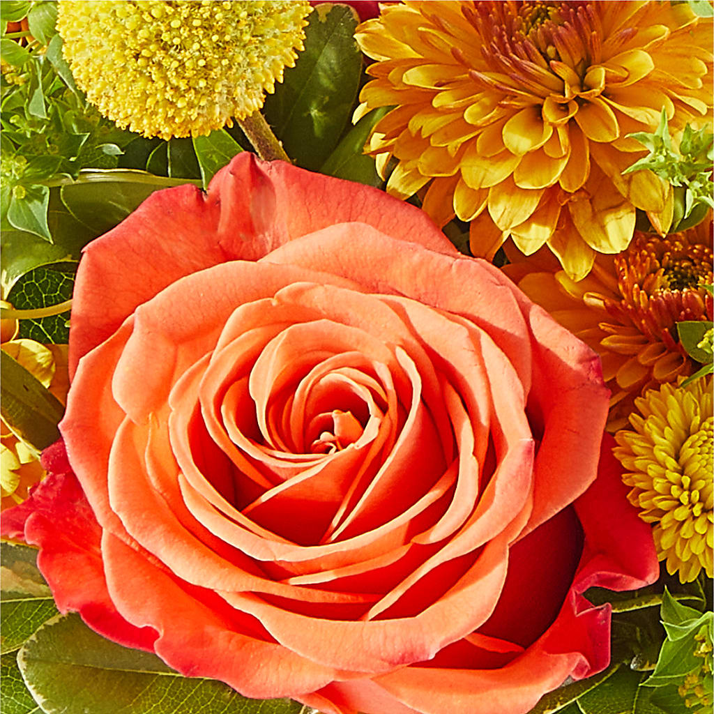 Gourdgeous Pumpkin –  The Flower Basket, Hickory NC