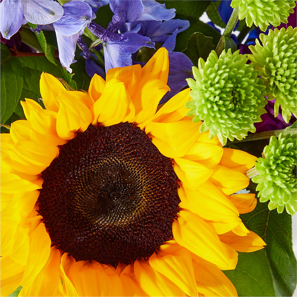 Catching Rays Bouquet –  The Flower Basket, Hickory NC