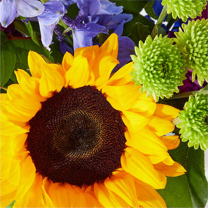 Catching Rays Bouquet –  The Flower Basket, Hickory NC