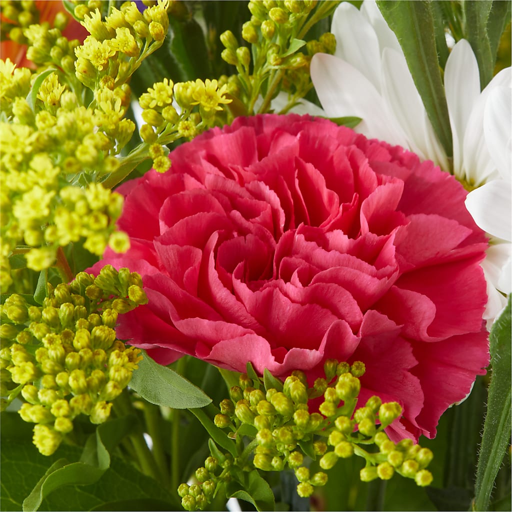 Oopsie Daisy Bouquet –  The Flower Basket, Hickory NC