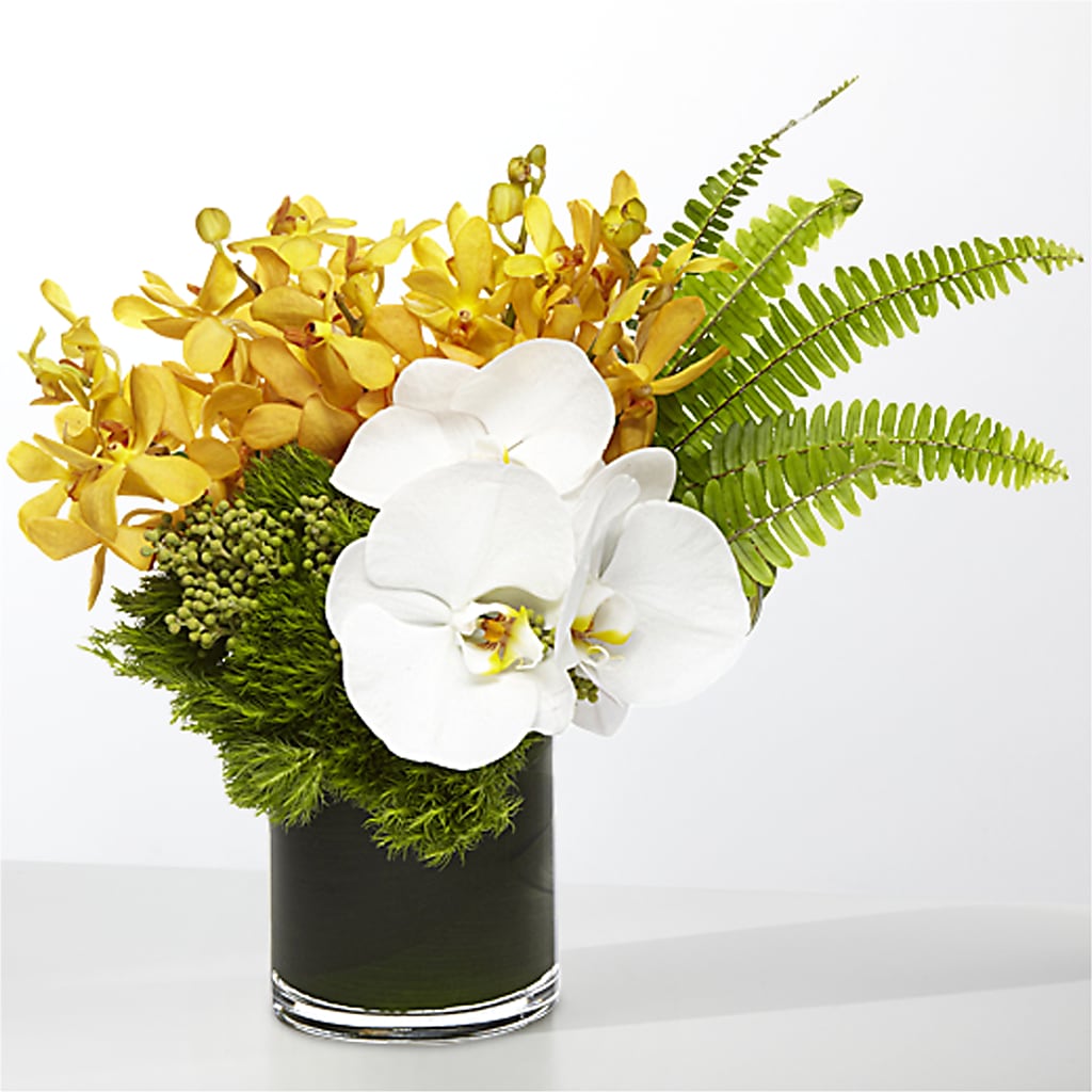 The Tropics –  The Flower Basket, Hickory NC