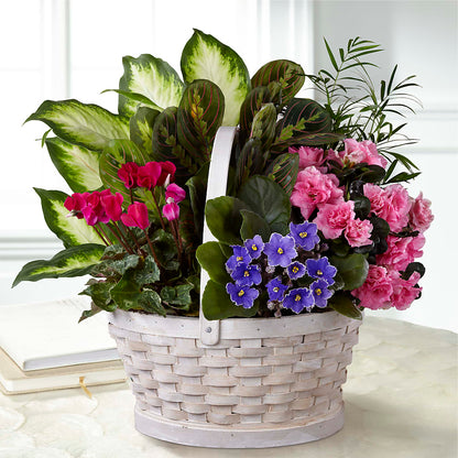 Peaceful Garden Planter –  The Flower Basket, Hickory NC