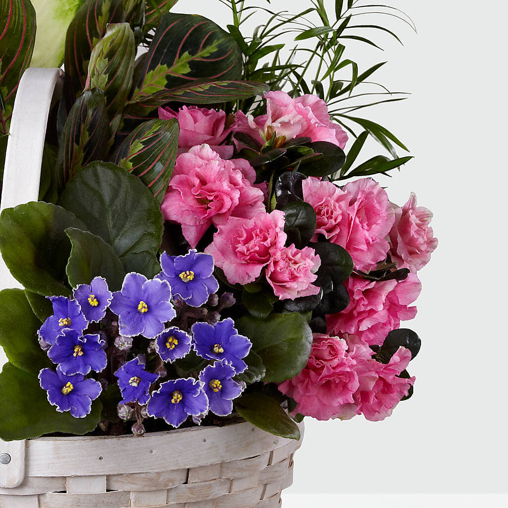 Peaceful Garden Planter –  The Flower Basket, Hickory NC