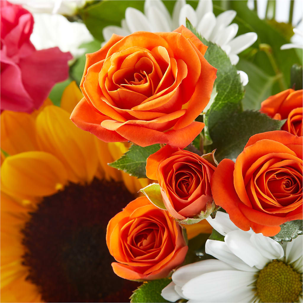 Sun-drenched Blooms Bouquet –  The Flower Basket, Hickory NC