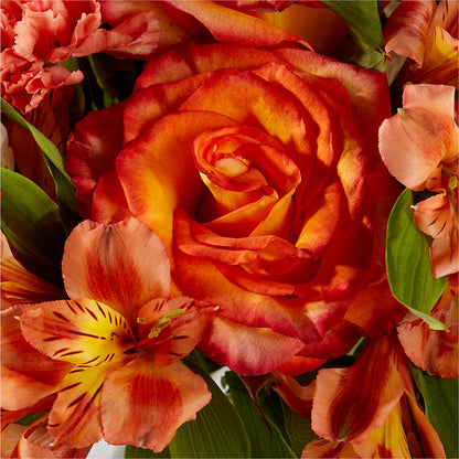 Apricot Glow Bouquet –  The Flower Basket, Hickory NC