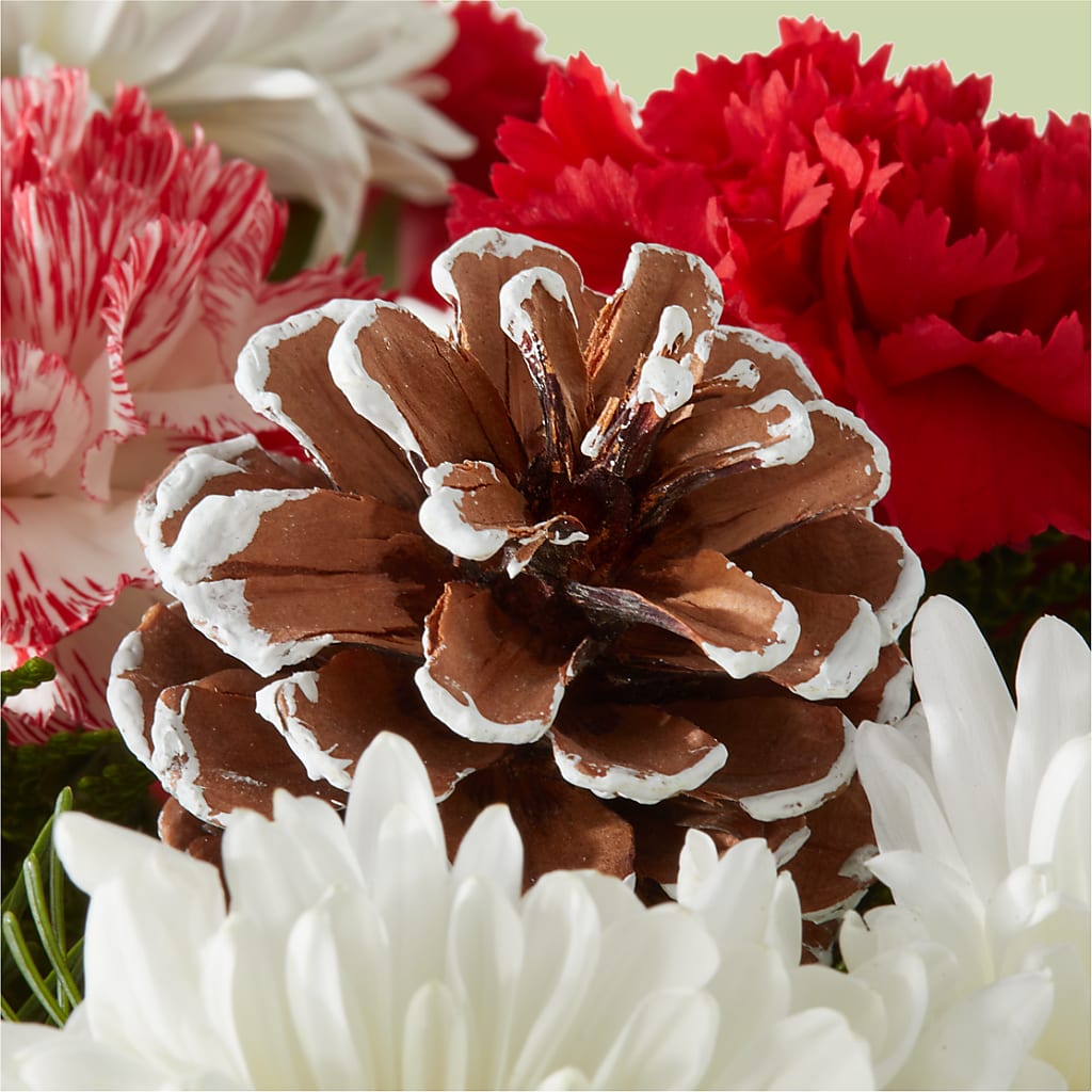 Candy Cane Lane Bouquet –  The Flower Basket, Hickory NC