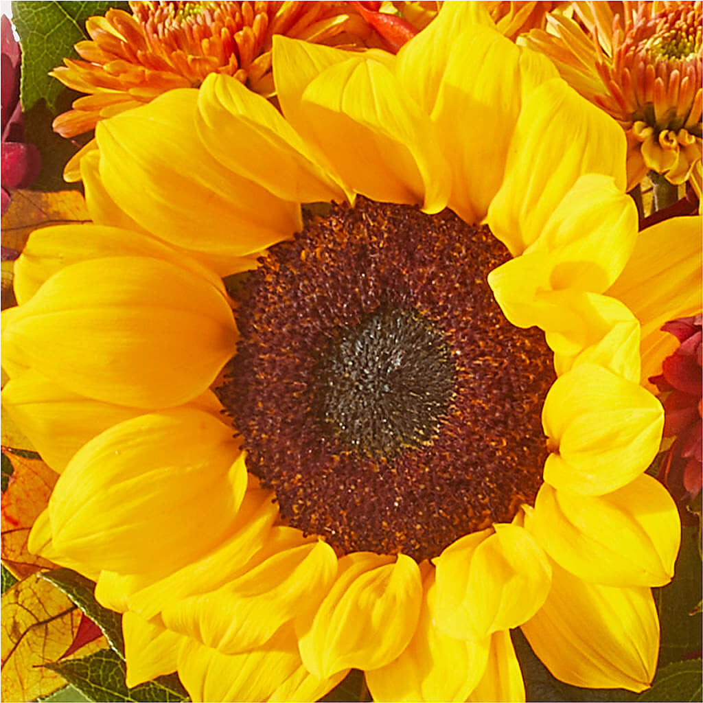 Sunny Side Bouquet –  The Flower Basket, Hickory NC