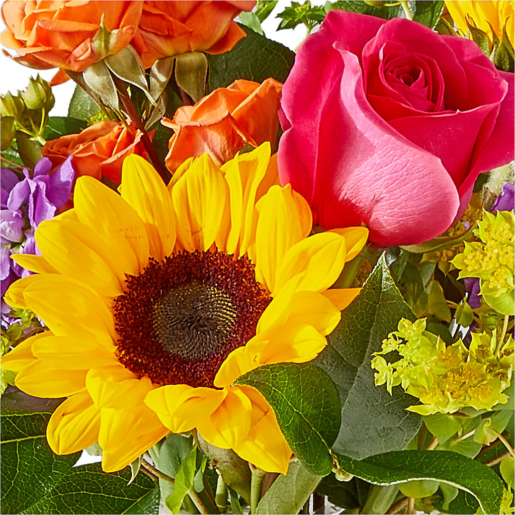 Vibrant Greetings Bouquet –  The Flower Basket, Hickory NC