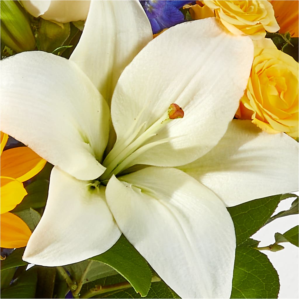 Wonderfully Sunny Bouquet –  The Flower Basket, Hickory NC