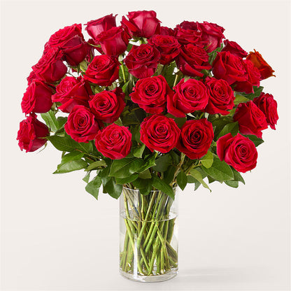 The One Red Rose Bouquet –  The Flower Basket, Hickory NC