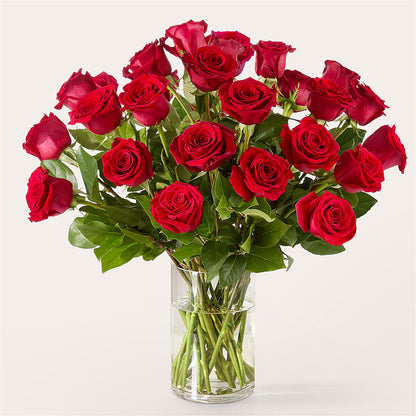 The One Red Rose Bouquet –  The Flower Basket, Hickory NC