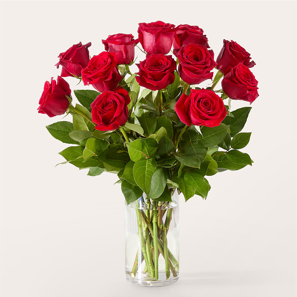 The One Red Rose Bouquet –  The Flower Basket, Hickory NC