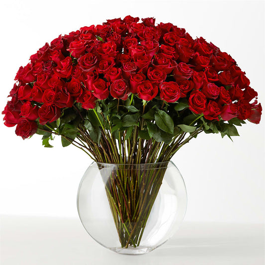 The Idealist –  The Flower Basket, Hickory NC