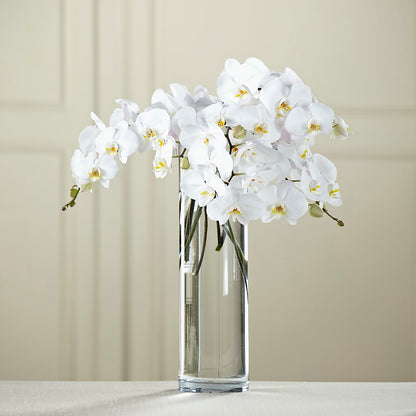 White Phalaenopsis Bouquet –  The Flower Basket, Hickory NC